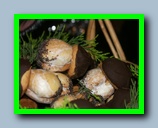 Click to enlarge image