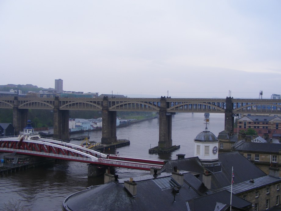 ������ ����