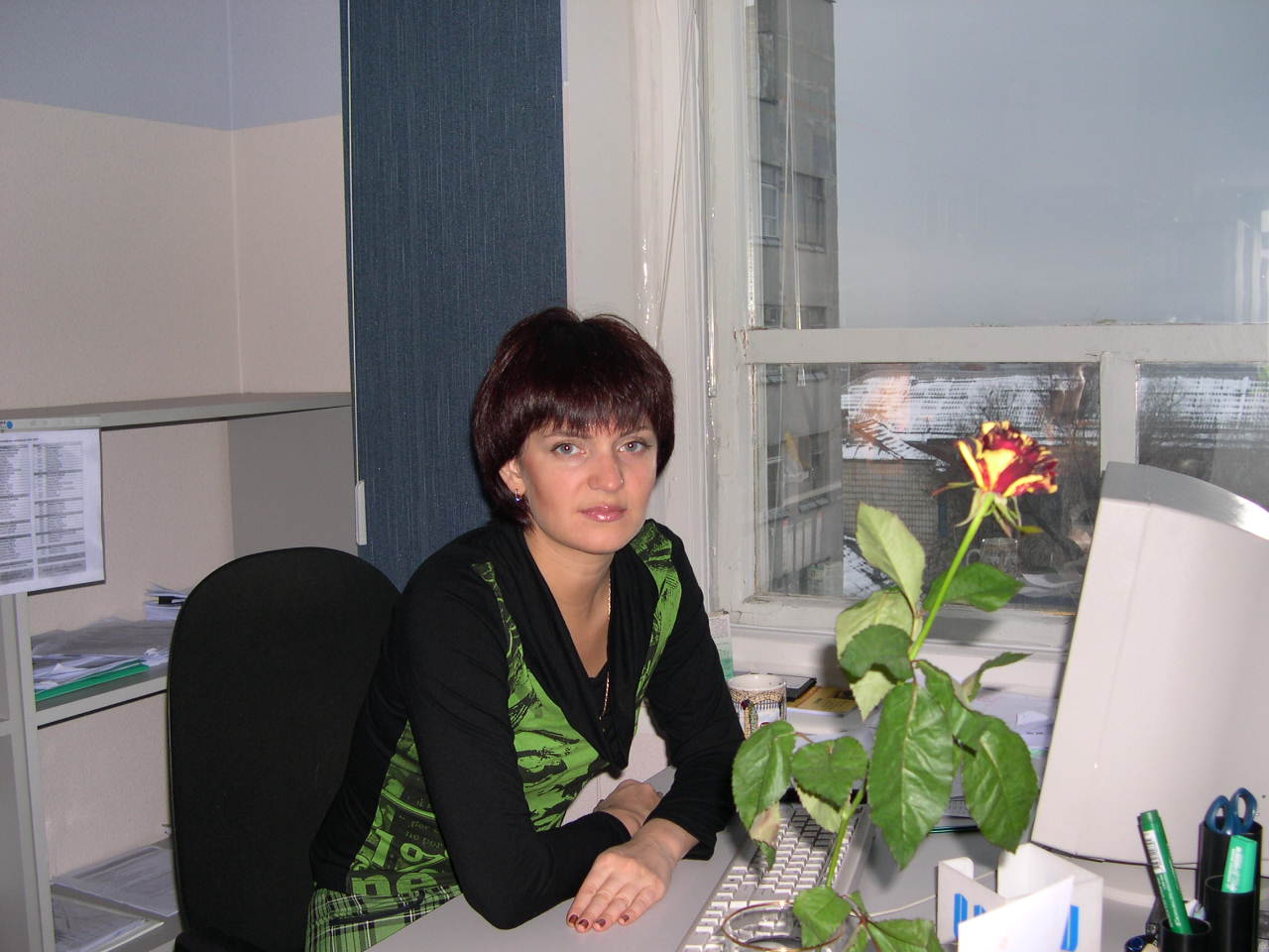 ���� �� ������ - ���