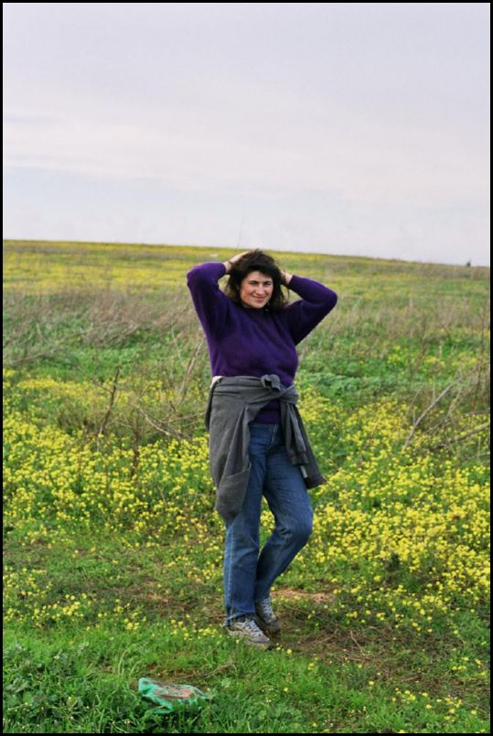 ���� ������