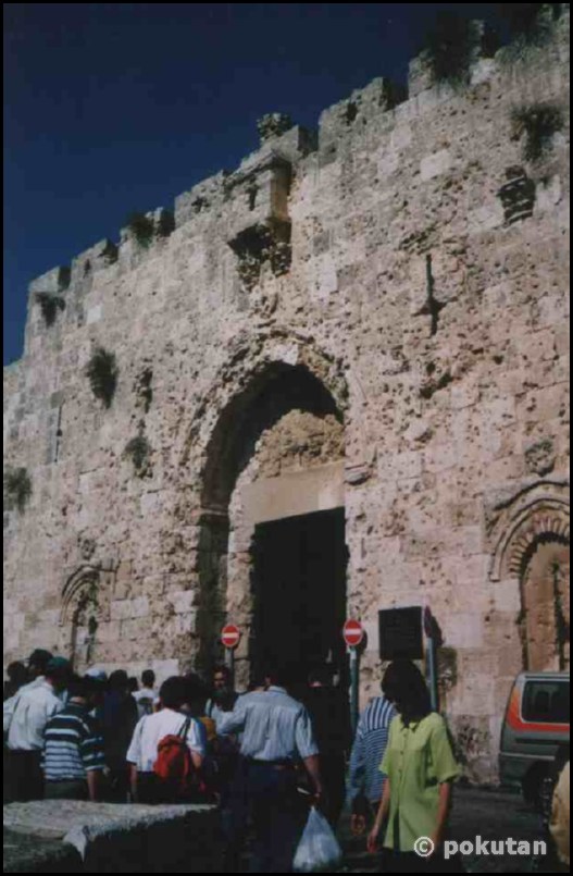 ������ ������� ������