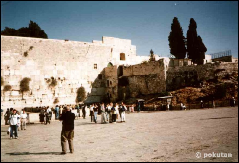 ����� �����