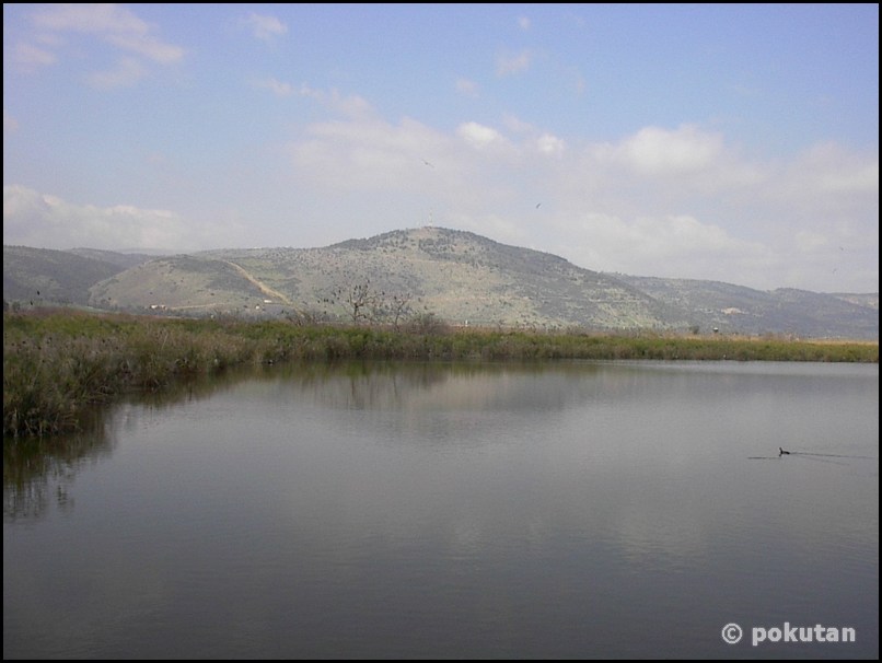 ���������� ����