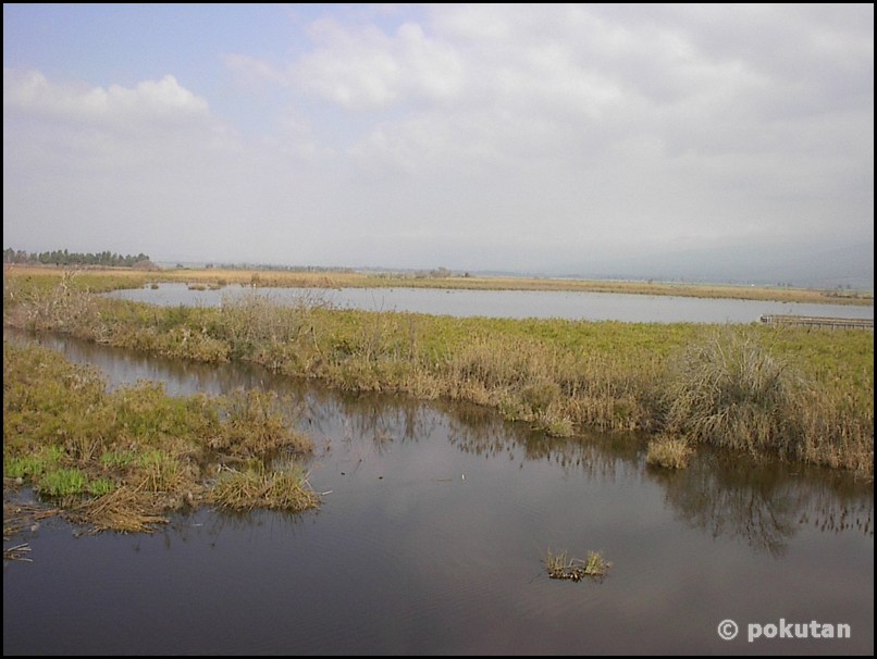 ���������� ����