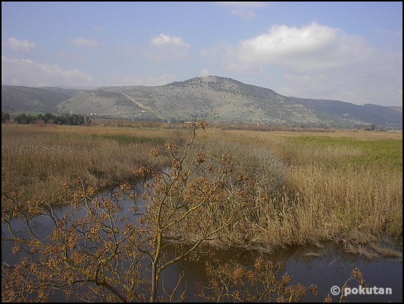 ���������� ����