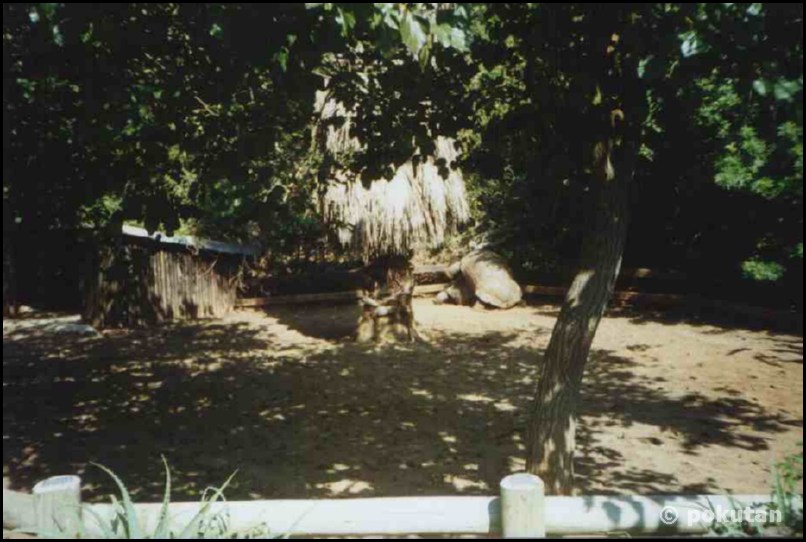 ���� ������