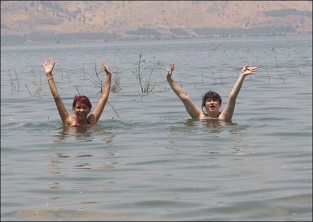 ������������